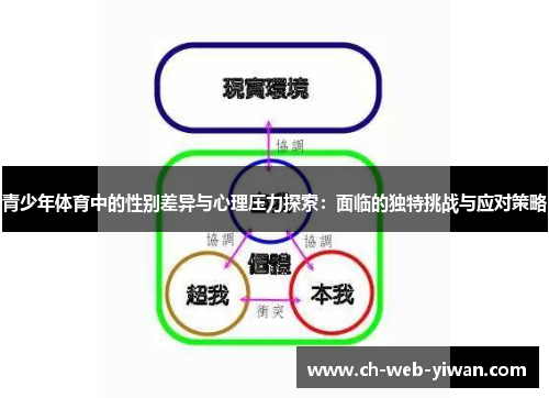 青少年体育中的性别差异与心理压力探索:面临的独特挑战与应对策略 青少年体育中的性别差异与心理压力探索:面临的独特挑战与应对策略